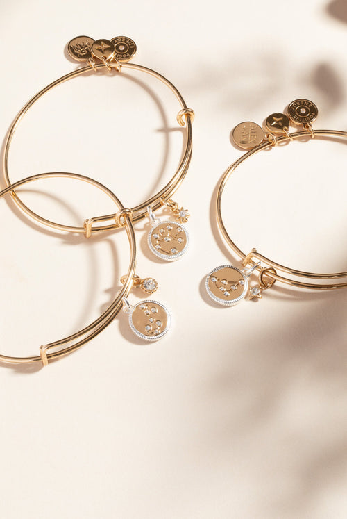 Capricorn Zodiac Charm Bangle